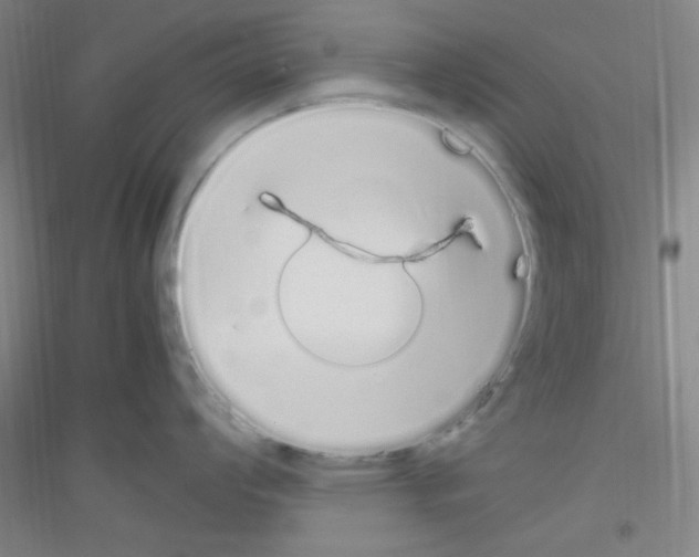 X0000116841008201001291700