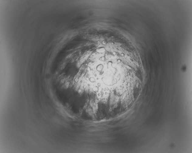 X0000116841009201001291700