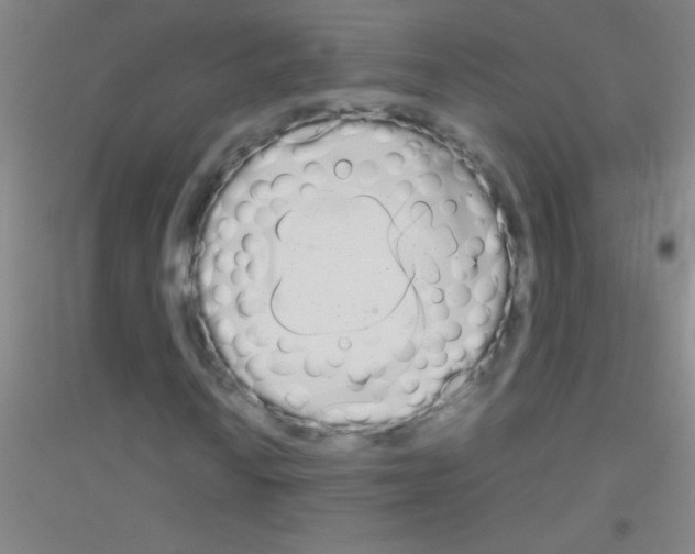 X0000116841010201001291700