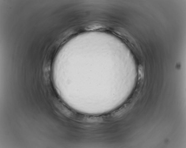 X0000116841011201001291700