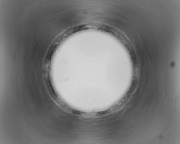 X0000116841012201001291700