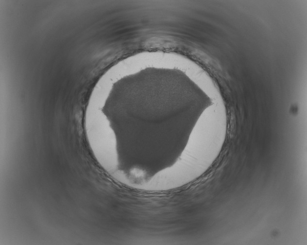 X0000116841013201001291700