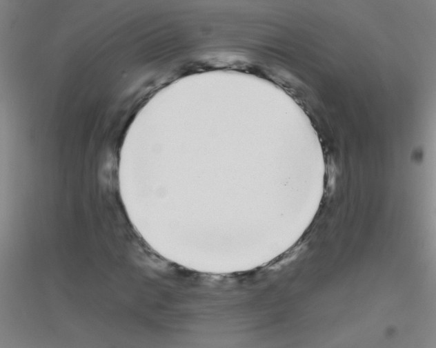 X0000116841014201001291700