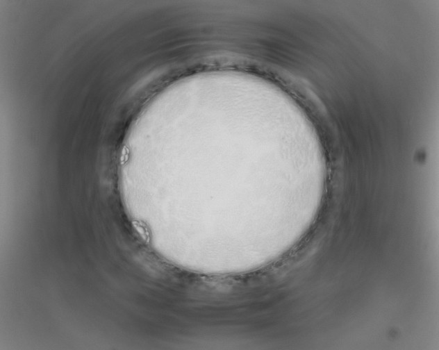 X0000116841015201001291700