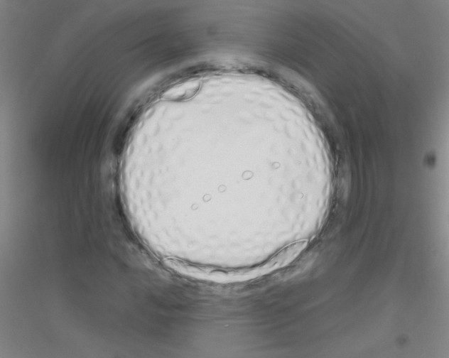X0000116841016201001291700