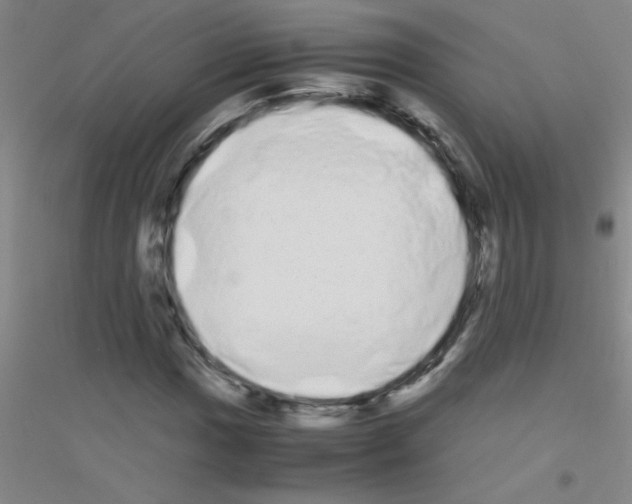 X0000116841017201001291700