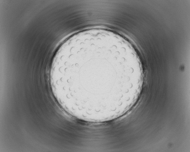X0000116841018201001291700