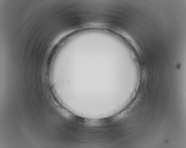 X0000116841019201001291700