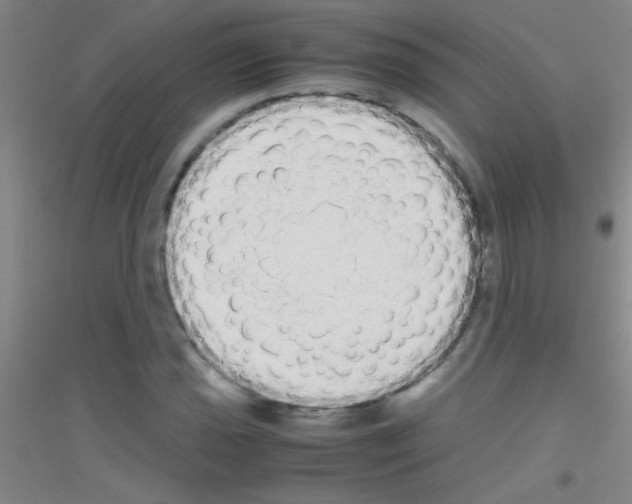 X0000116841021201001291700