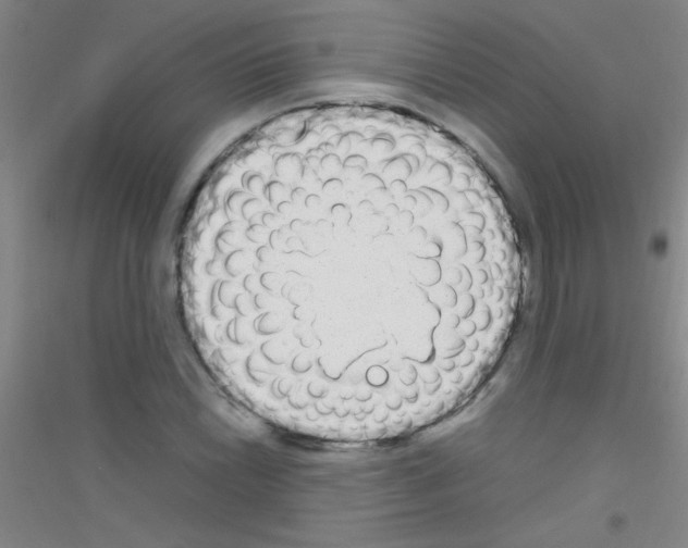 X0000116841022201001291700