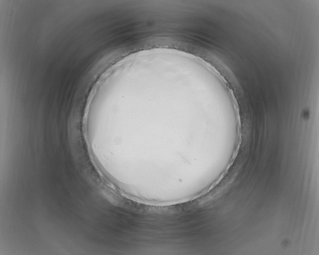 X0000116841023201001291700