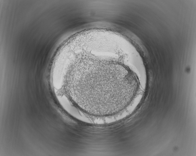 X0000116841024201001291700