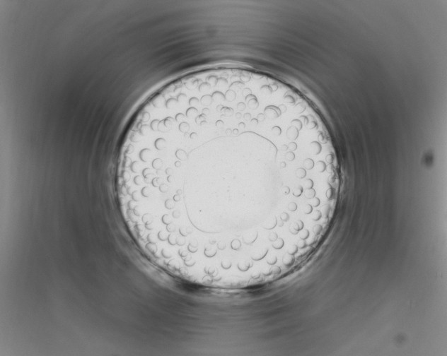 X0000116841026201001291700