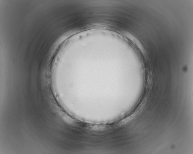 X0000116841027201001291700