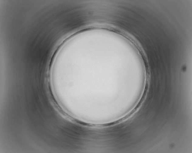 X0000116841028201001291700