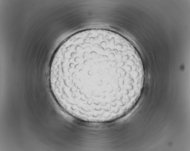 X0000116841030201001291700