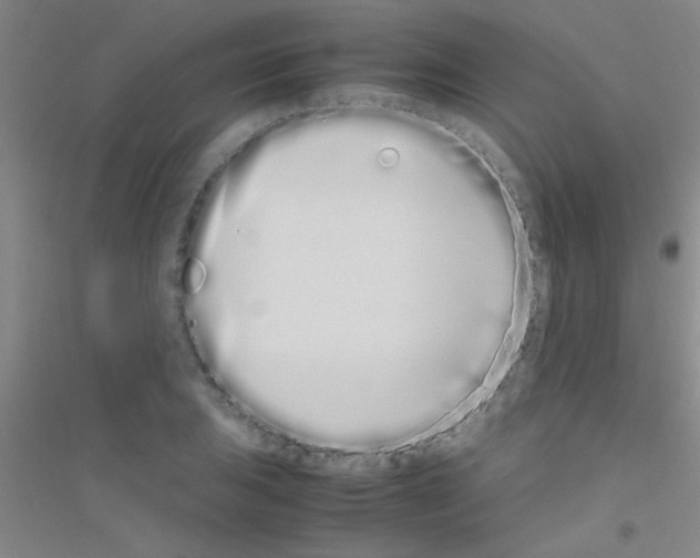 X0000116841031201001291700