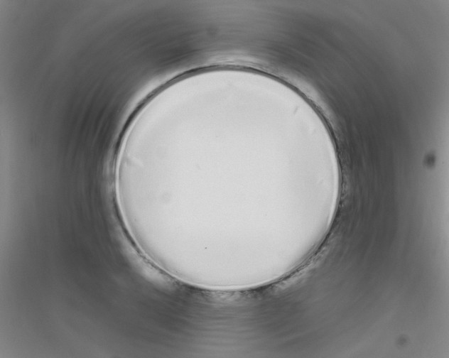 X0000116841032201001291700