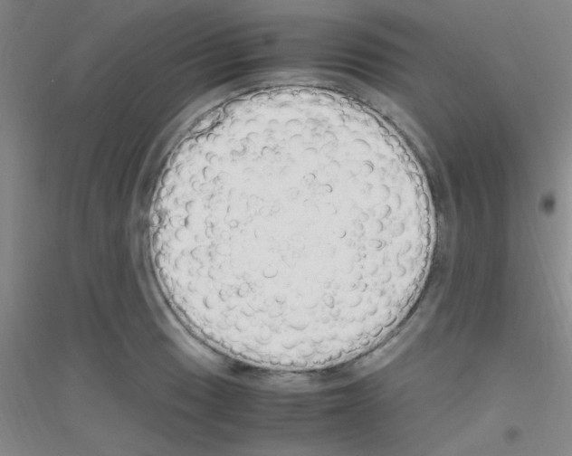X0000116841033201001291700