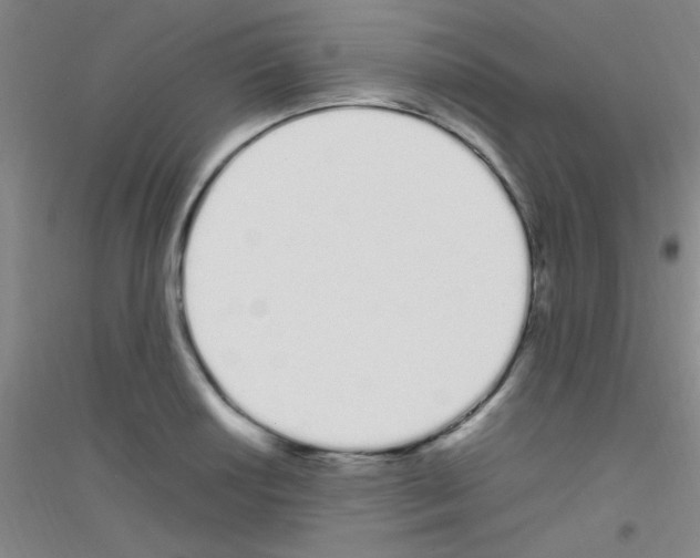 X0000116841034201001291700
