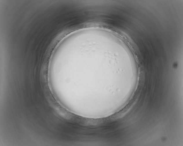 X0000116841035201001291700