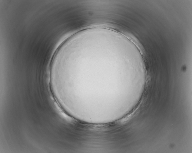 X0000116841036201001291700