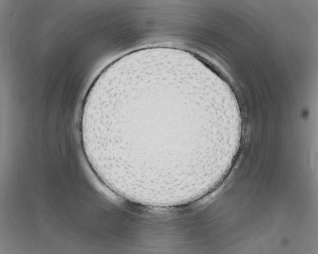 X0000116841038201001291700
