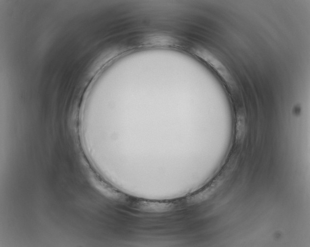 X0000116841039201001291700