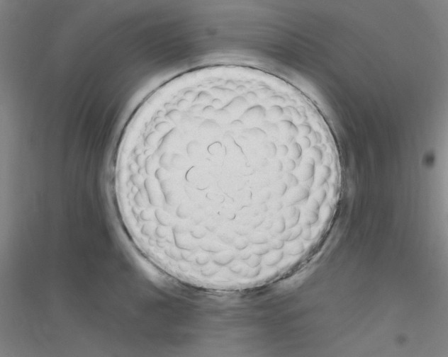 X0000116841040201001291700