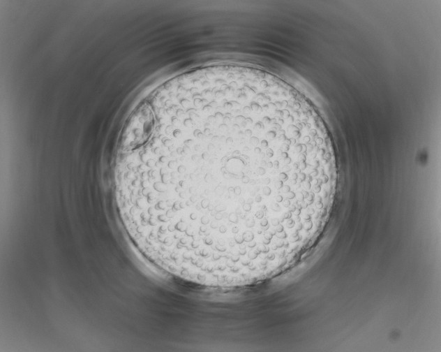 X0000116841041201001291700