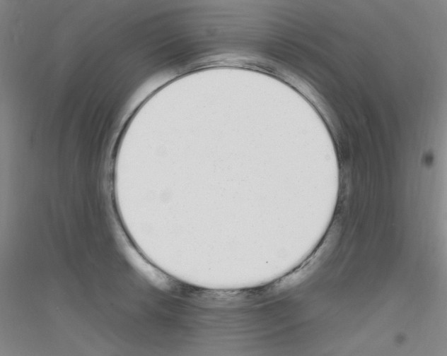 X0000116841042201001291700