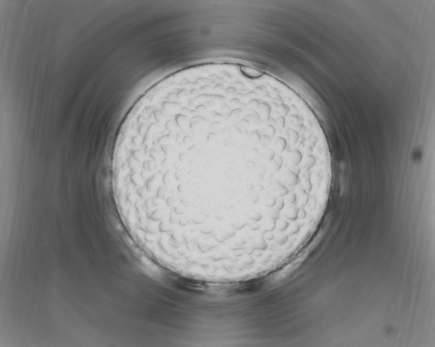 X0000116841044201001291700