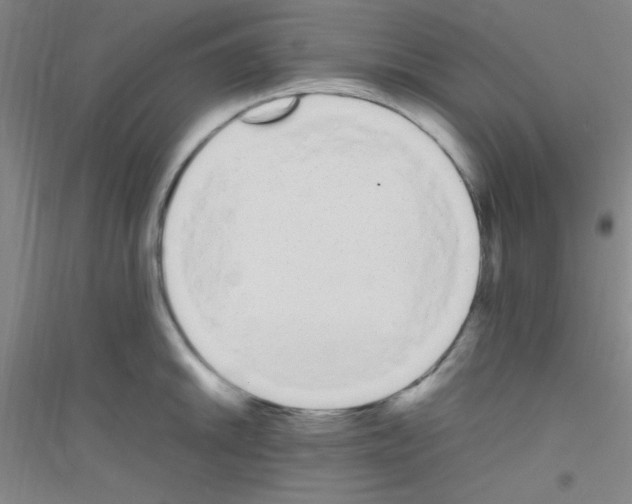 X0000116841046201001291700