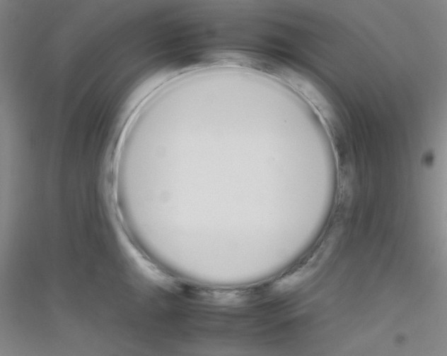 X0000116841047201001291700
