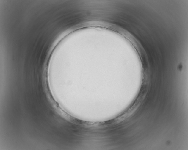 X0000116841048201001291700