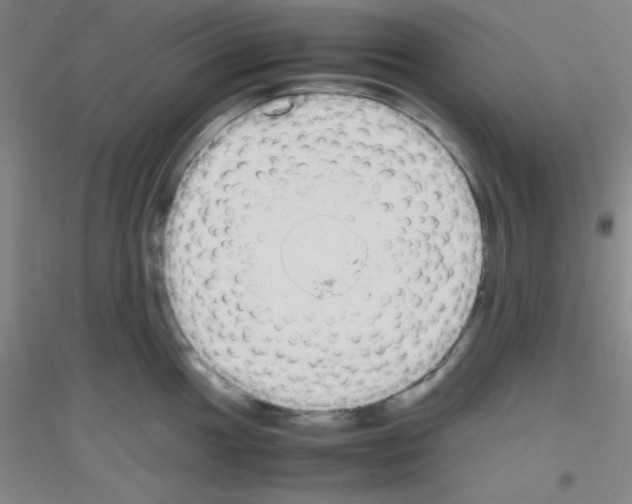 X0000116841049201001291700