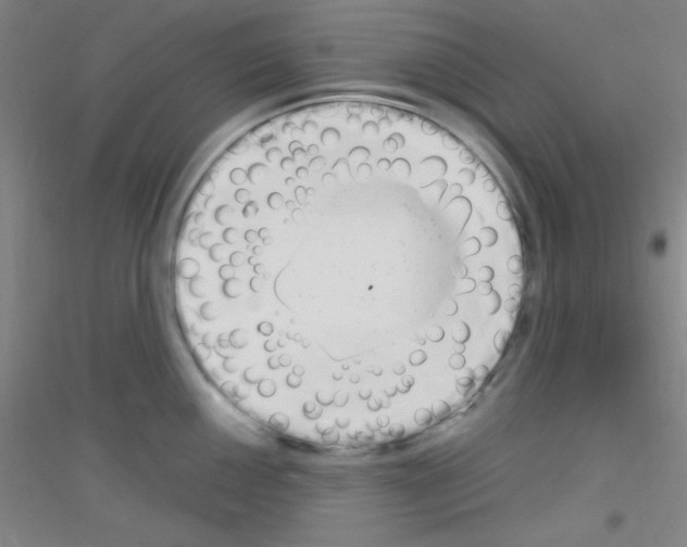 X0000116841050201001291700