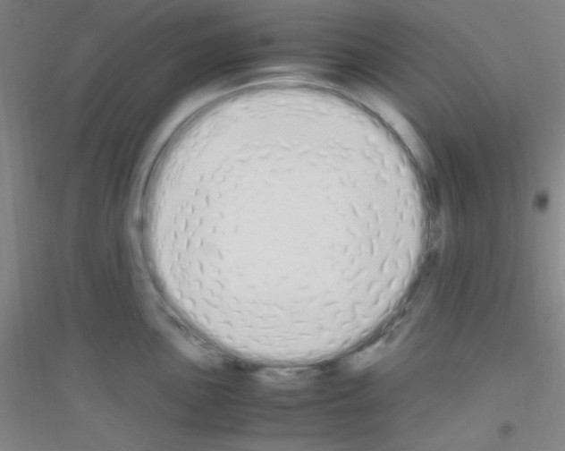 X0000116841051201001291700