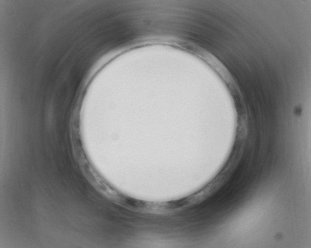 X0000116841052201001291700