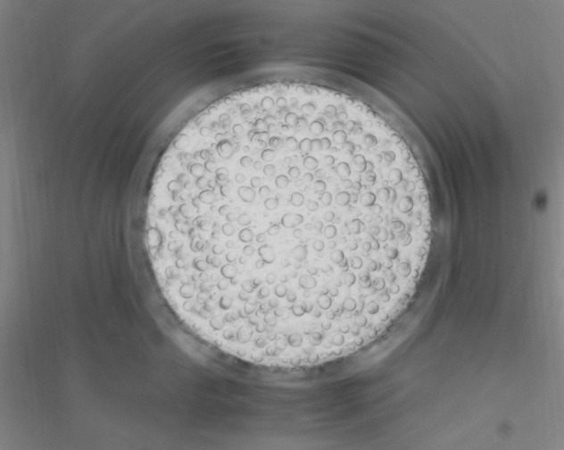 X0000116841053201001291700