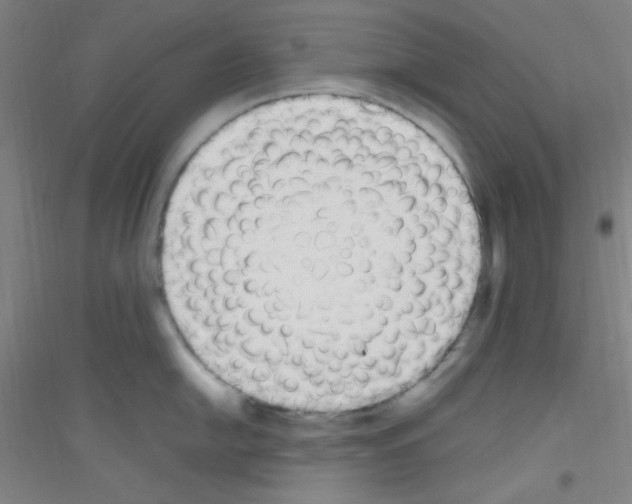 X0000116841054201001291700