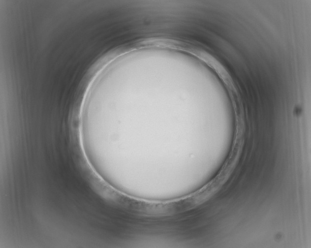 X0000116841055201001291700