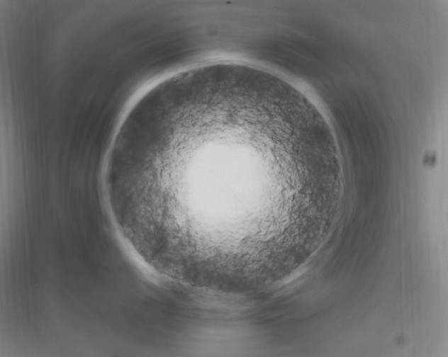 X0000116841056201001291700