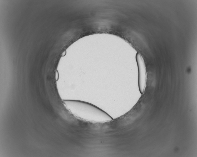 X0000116841057201001291700