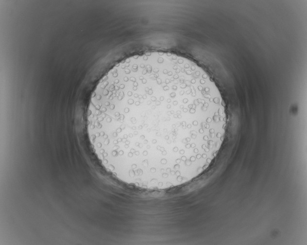 X0000116841058201001291700