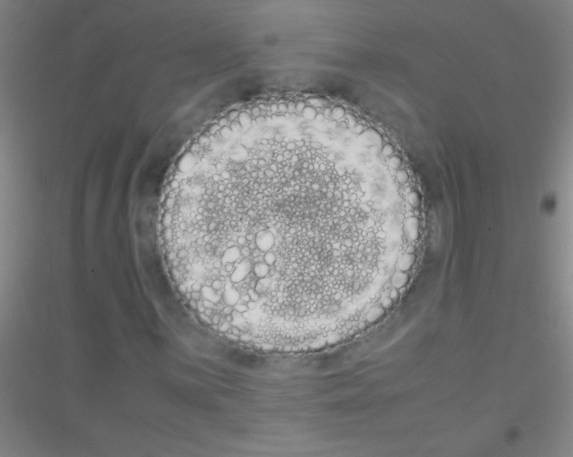 X0000116841059201001291700