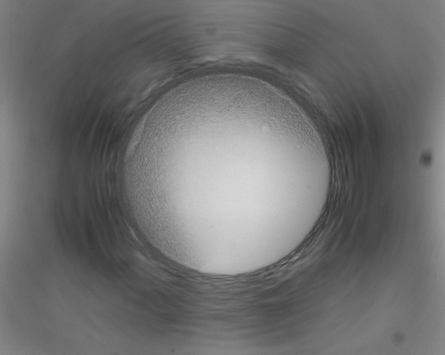 X0000116841060201001291700