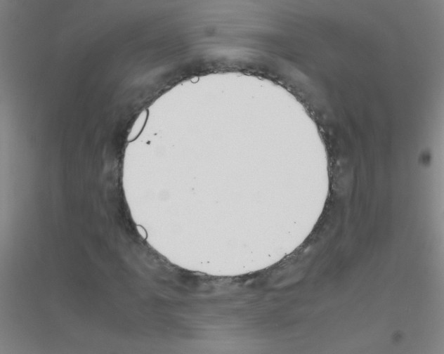 X0000116841061201001291700