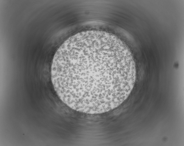 X0000116841062201001291700