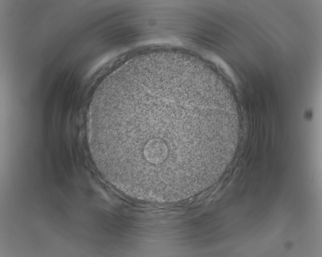X0000116841064201001291700